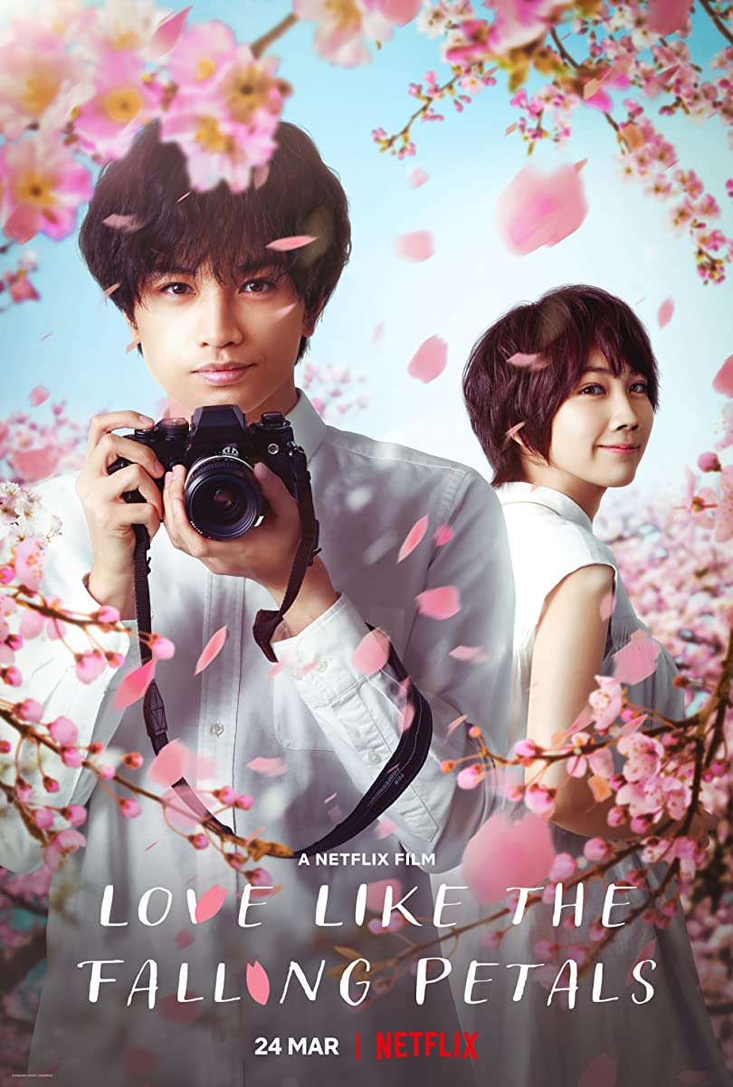 مشاهدة فيلم My Dearest Like a Cherry Blossom 2022 مترجم